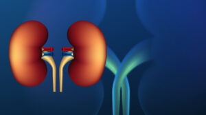 KIDNEY