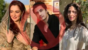PAKISTAN, ARTIST